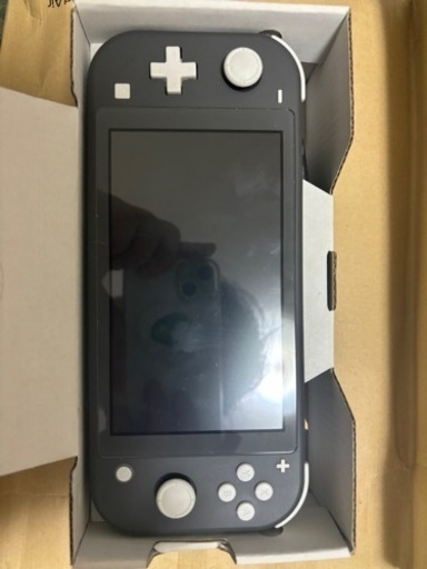 Nintendo Switch Lite グレー / マリオカート8DX（Nintendo