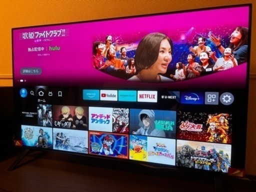 LG OLED 48A1PJA Alexa 搭載 2021 年モデル