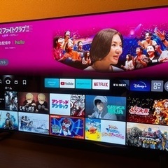 LG OLED 48A1PJA Alexa 搭載 2021 年モデル