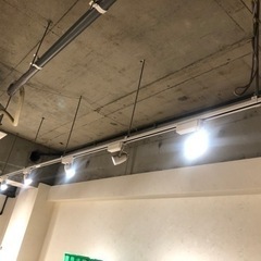 ライト[業務用] 4本あります　[価格は1本の値段です]