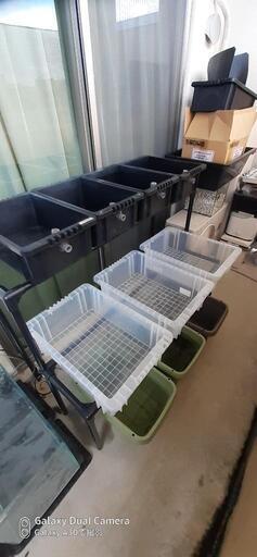 メダカ飼育セット
