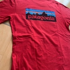 Patagonia/Sサイズ/Tシャツ