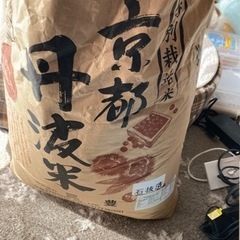 備蓄米　玄米約50kg
