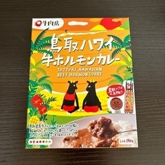 【ネット決済】牛ホルモンカレー4つ、ドラゴンカレー12個