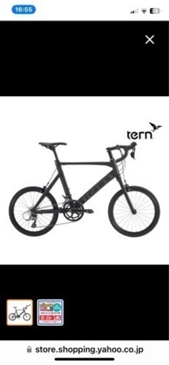 その他 tern surge