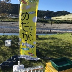 田辺市　新庄公園にてメダカすくい&メダカ、シュリンプ販売