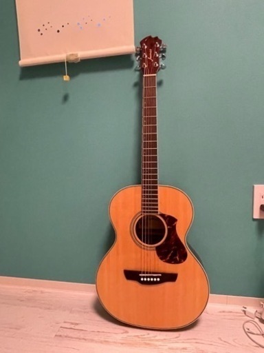 ギター James 500A