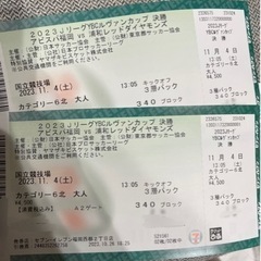 【ネット決済・配送可】ルヴァンカップ　国立　11/4（土)ペアチケット