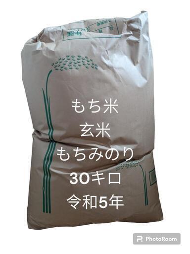 もち米(もちみのり)令和５年産