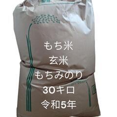 もち米(もちみのり)令和５年産