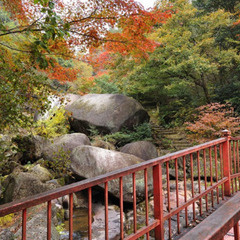   👩女性限定❗️11月15日(水) 鬼岩公園ハイキング