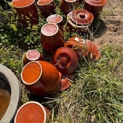 陶器　梅壺　