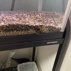 95×45×45水槽 専用ライト付き 外部フィルター