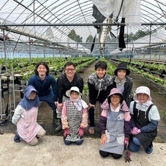 \未経験歓迎！！！/いちご狩り観光農園におけるいちごの栽培スタッフ