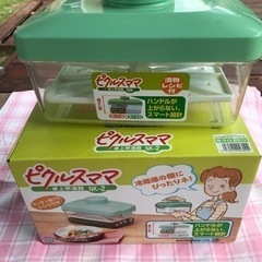 ピクルス　おしんこ