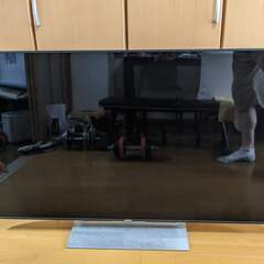 Sony 55X9000E TV (needs repair)