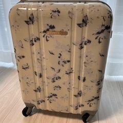 【決まりました】スーツケース　マーキュリーデュオ