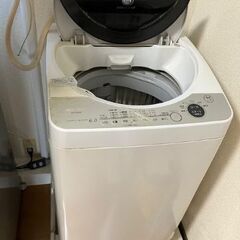 洗濯機　6㎏　｢Ａｇ+イオンコート｣　ＥＳ－ＦＧ６０Ｆ