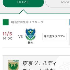 【11/2.3取引限定】サッカーペアチケット 2023明治安田生...