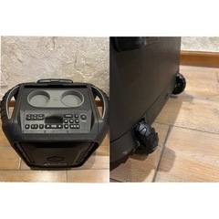 ECOXGEAR アウトドアスピーカー(値下げ)