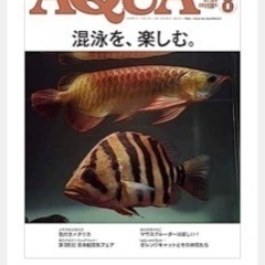 ダトニオプラスワン ③