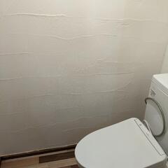 DIY 　珪藻土　ベストアンダー