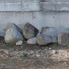 自然の石