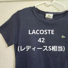 【LACOSTE】Sサイズ相当　レディース　ネイビー