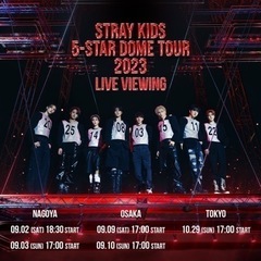 【ネット決済】Ｓｔｒａｙ　Ｋｉｄｓ（スキズ）　５－ＳＴＡＲ　エミ...