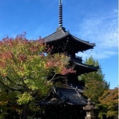 【紅葉🍁寺社巡りツアー（11月）】