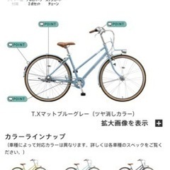 美品　ブリヂストンマークローザ　ミニベロ　