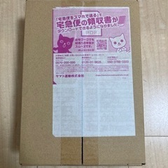 ポケモンカード　未来の一閃　未開封　シュリンク付き　1BOX