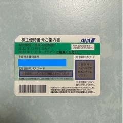 【ネット決済・配送可】ANA株主優待券 2枚
