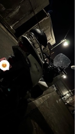 PCX 81 期間限定