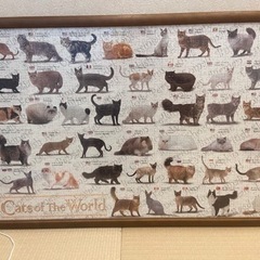 世界の猫ジグソーパズル