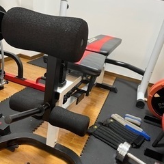 引越しの為10/29までベンチ、懸垂器具、ダンベル一式