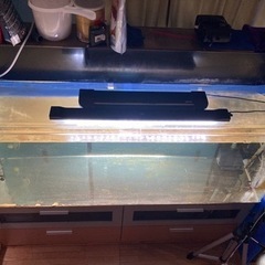 大型水槽1200規格水層です大型魚や熱帯魚、金魚、メダカなどにいかがです