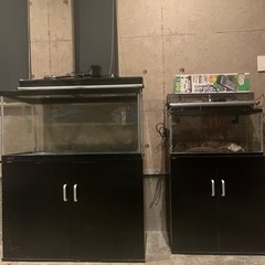 送料コミ バレンシアガ グラッシュピアス 未使用