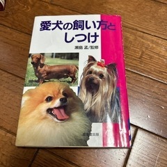 愛犬の飼い方としつけ