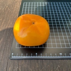 渋柿　Mサイズ　4キロ以上（28個）＋おまけ2個
