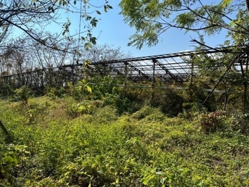 鉄骨