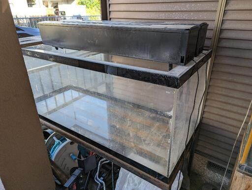１５０センチ水槽\u0026鉄製水槽台