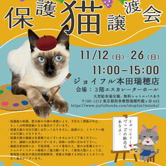 保護猫❤️譲渡会 in ジョイフル本田瑞穂店（１１／１２）の画像