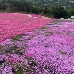 🌟お互いの不満を一緒に埋めませんか😉🌟