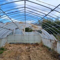 ビニールハウス　【　間口(約4.5m)×高さ(約2.5m)×奥行(約9.0m)　】