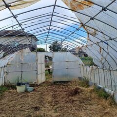 ビニールハウス　【　間口(約4.5m)×高さ(約2.5m)×奥行(約9.0m)　】