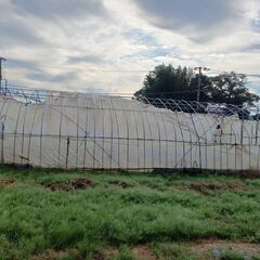 ビニールハウス　【　間口(約4.5m)×高さ(約2.5m)×奥行(約9.0m)　】