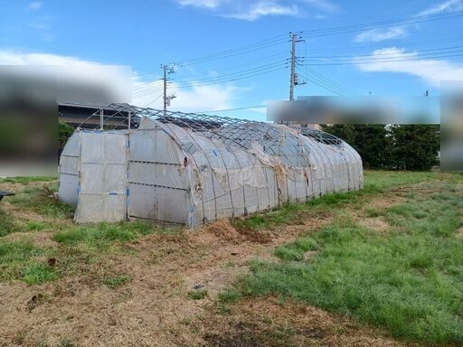 ビニールハウス　【　間口(約4.5m)×高さ(約2.5m)×奥行(約9.0m)　】