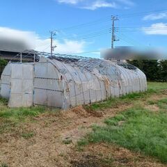 ビニールハウス 【 間口(約4.5m)×高さ(約2.5m)×奥行(約9.0
