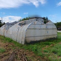 ビニールハウス　【　間口(約4.5m)×高さ(約2.5m)×奥行(約9.0m)　】